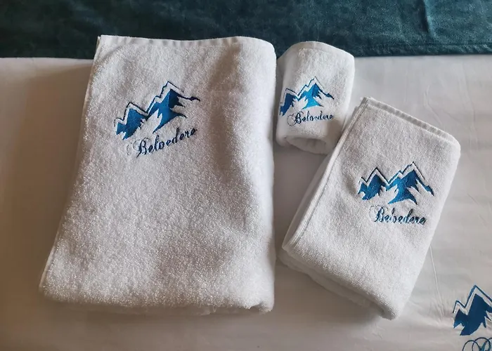 Apartman Belvedere A9 Kopaonik